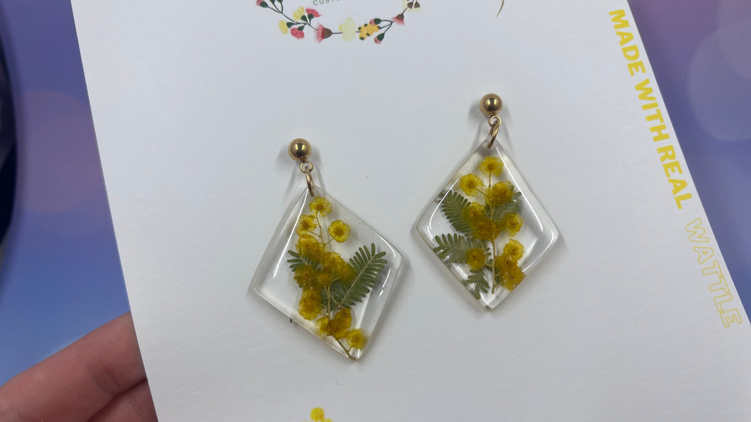 Acacia Dealbata