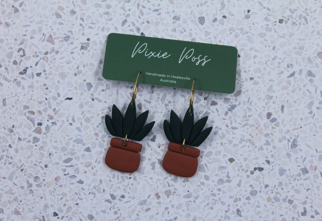 Pretty Fly For a Cacti Hoops