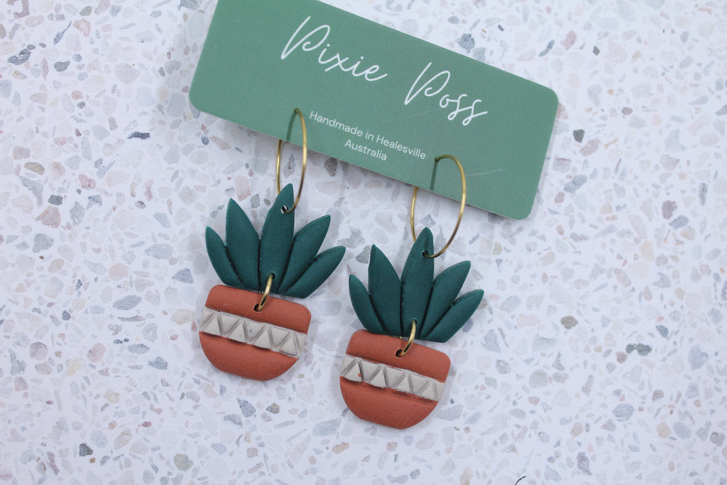 Pretty Fly For a Cacti Hoops